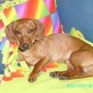 Meet your Posher, Kay